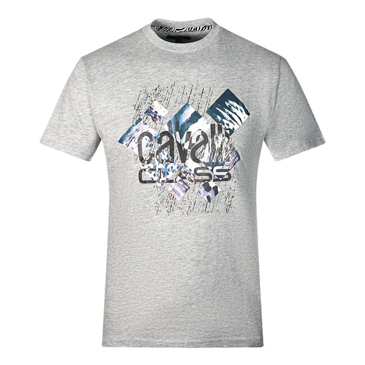 Cavalli Class Diamond Window Of Tiger Design Grey T-Shirt